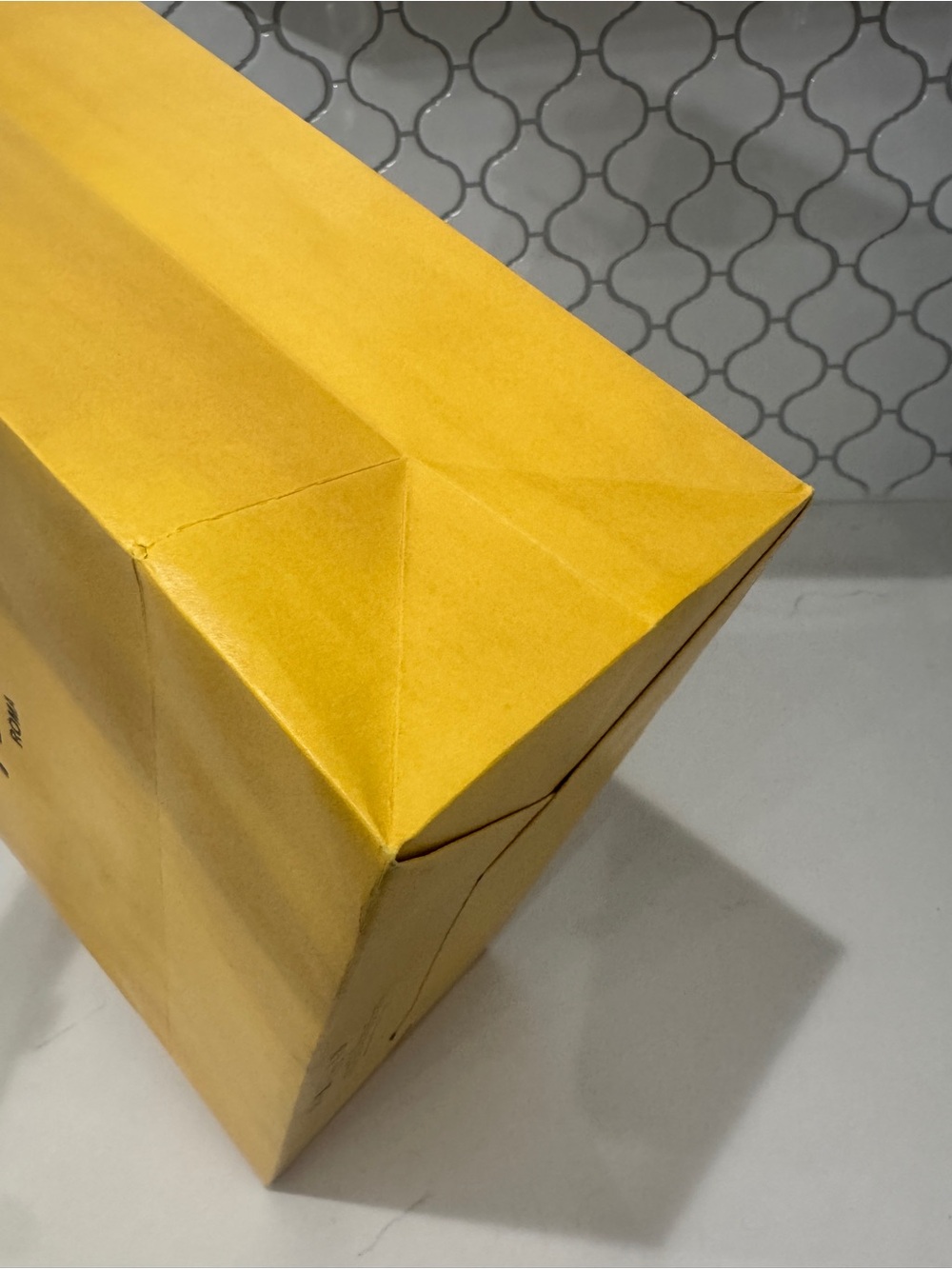 Authentic Fendi Roma Large Hard-Sided Boutique Gift Bag + Satin Ribbon - Picture 6 of 10